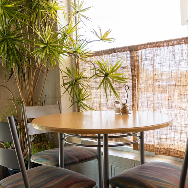 A small round table with three chairs, salt and pepper shakers, and a large plant.