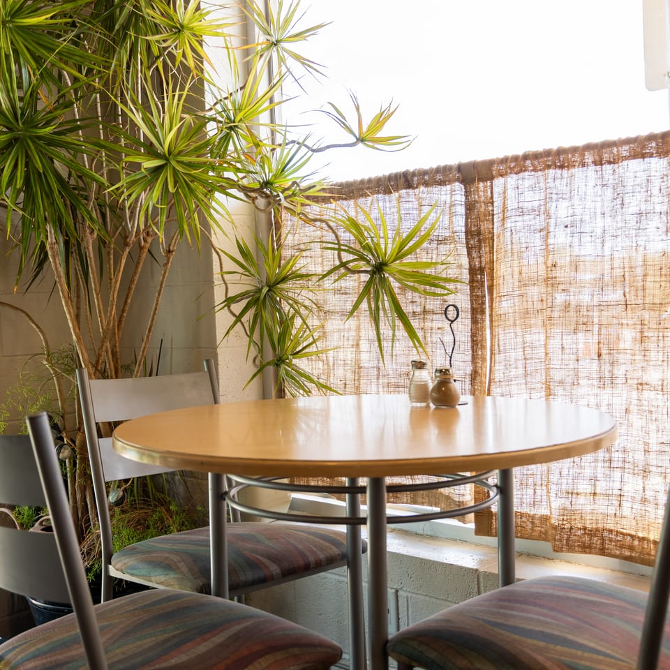 A small round table with three chairs, salt and pepper shakers, and a large plant.