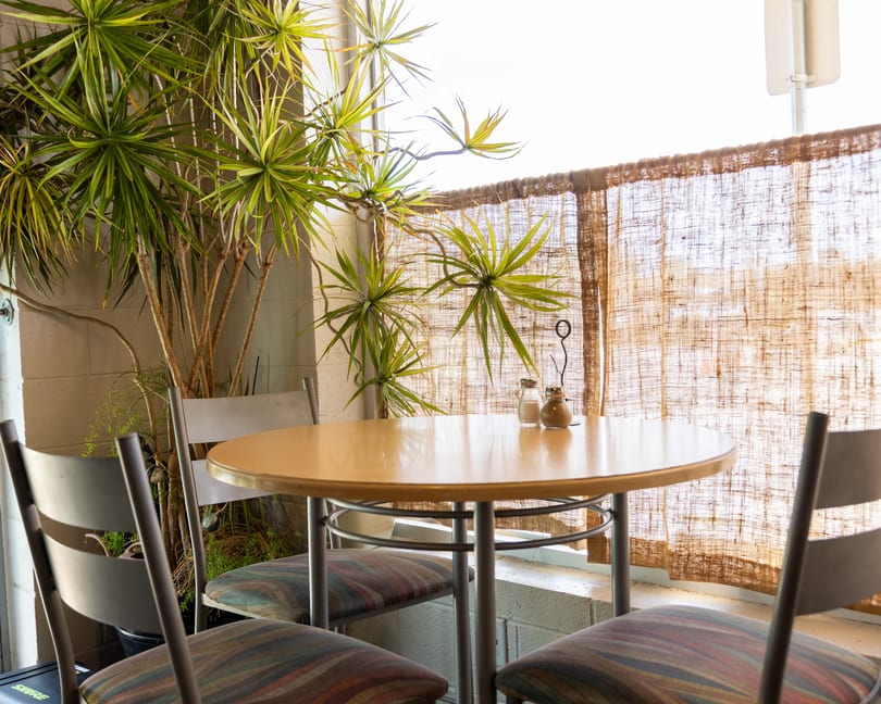 A small round table with three chairs, salt and pepper shakers, and a large plant.